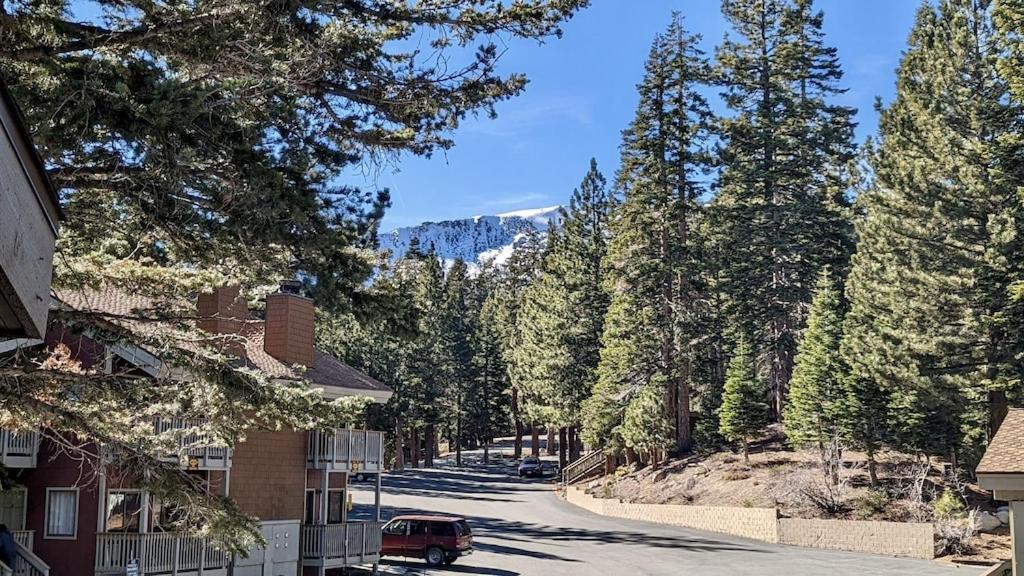 Cozy Condo Walking Distance To Village And Gondola W/ Pool/ Jacuzzi Sleeps 4. Mammoth Lakes Esterno foto